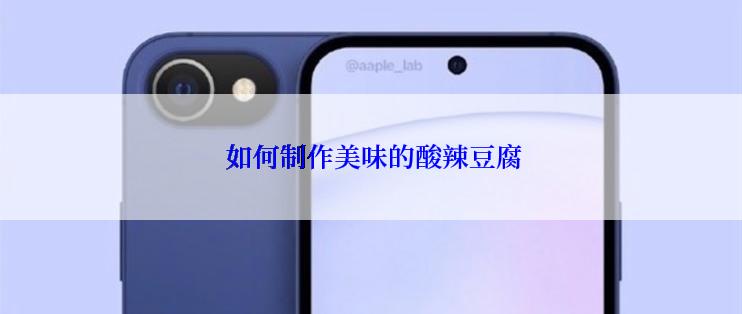  如何制作美味的酸辣豆腐