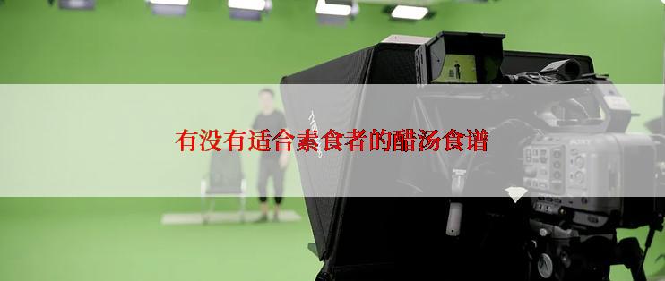 有没有适合素食者的醋汤食谱
