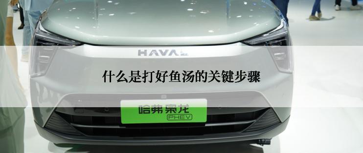 什么是打好鱼汤的关键步骤