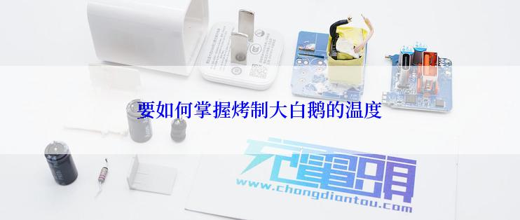 要如何掌握烤制大白鹅的温度