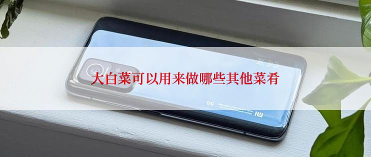 大白菜可以用来做哪些其他菜肴