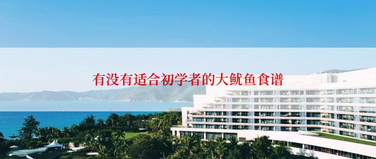 有没有适合初学者的大鱿鱼食谱