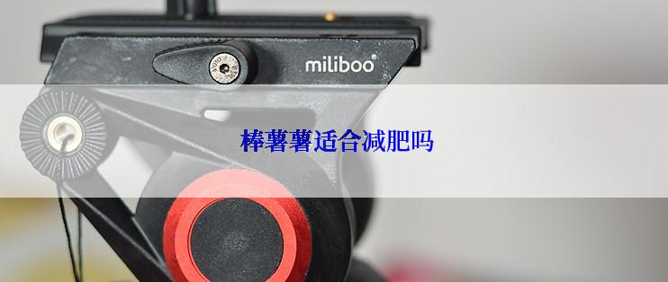  棒薯薯适合减肥吗