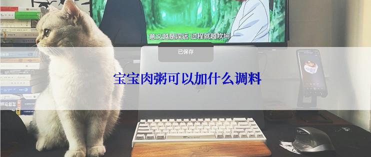 宝宝肉粥可以加什么调料