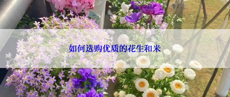 如何选购优质的花生和米