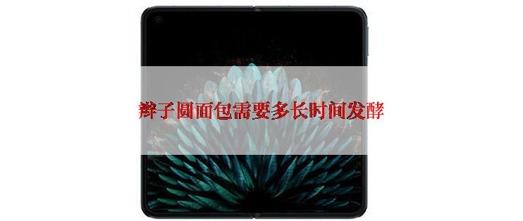 辫子圆面包需要多长时间发酵