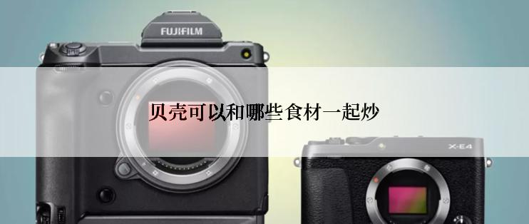 贝壳可以和哪些食材一起炒