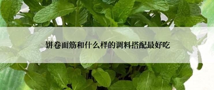  饼卷面筋和什么样的调料搭配最好吃