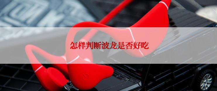  怎样判断波龙是否好吃