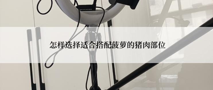 怎样选择适合搭配菠萝的猪肉部位