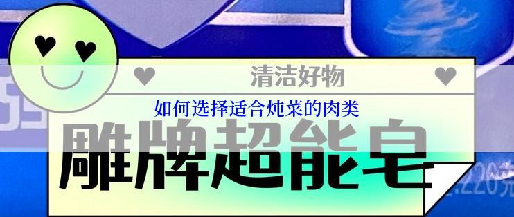 如何选择适合炖菜的肉类