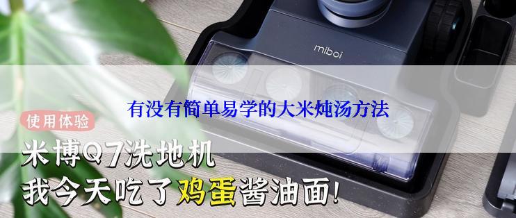 有没有简单易学的大米炖汤方法