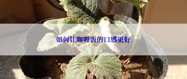 如何让咖喱饭的口感更好