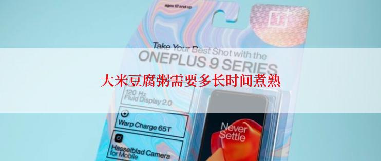 大米豆腐粥需要多长时间煮熟
