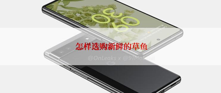  怎样选购新鲜的草鱼