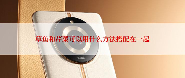 草鱼和芹菜可以用什么方法搭配在一起