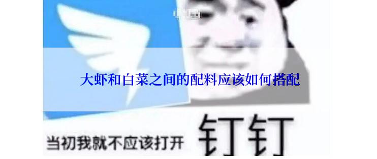  大虾和白菜之间的配料应该如何搭配