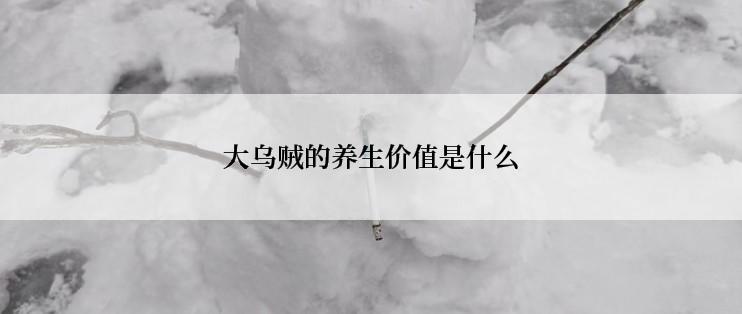 大乌贼的养生价值是什么