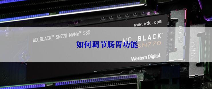  如何调节肠胃功能