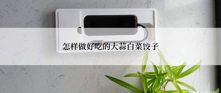 怎样做好吃的大蒜白菜饺子