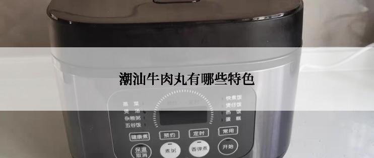 潮汕牛肉丸有哪些特色