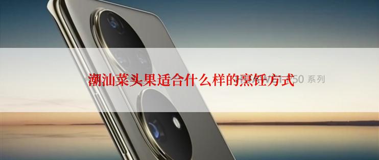  潮汕菜头果适合什么样的烹饪方式