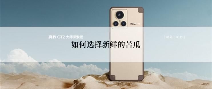 如何选择新鲜的苦瓜