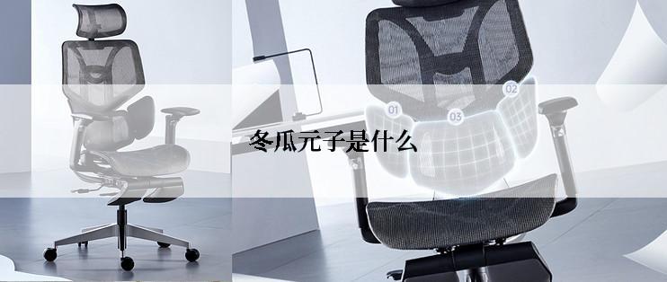 冬瓜元子是什么