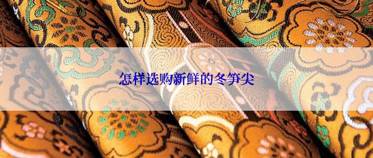 怎样选购新鲜的冬笋尖
