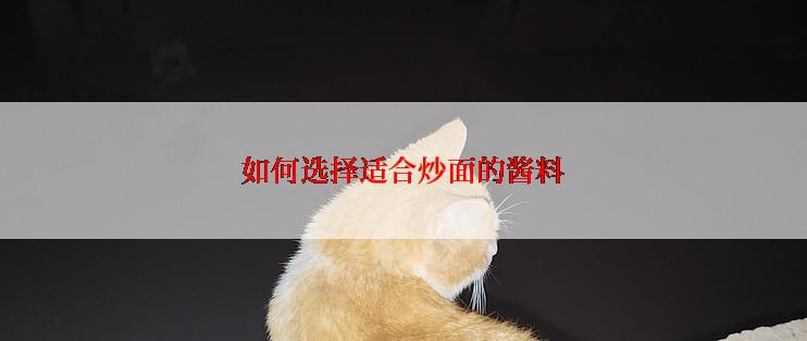如何选择适合炒面的酱料