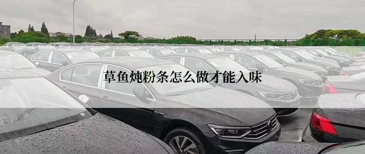 草鱼炖粉条怎么做才能入味