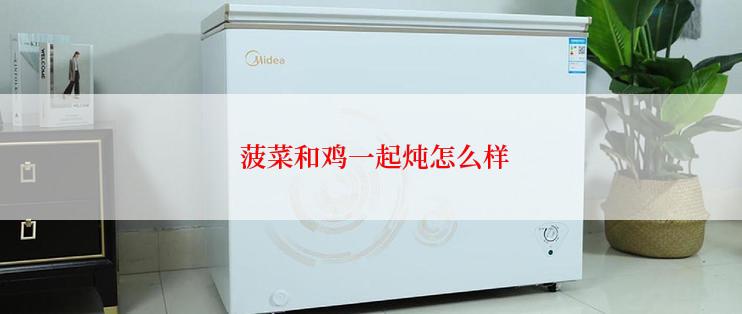  菠菜和鸡一起炖怎么样