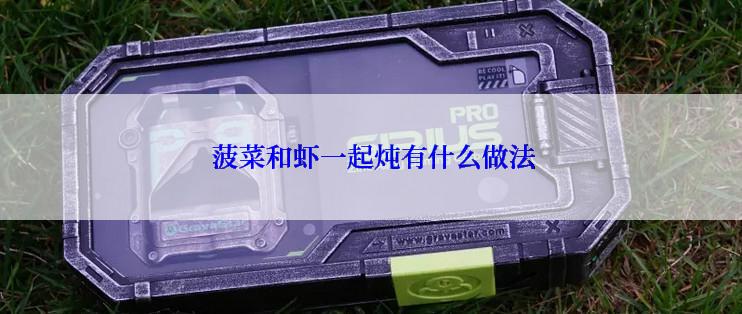  菠菜和虾一起炖有什么做法
