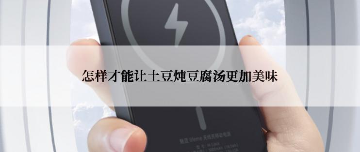 怎样才能让土豆炖豆腐汤更加美味