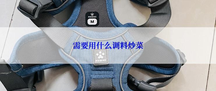 需要用什么调料炒菜