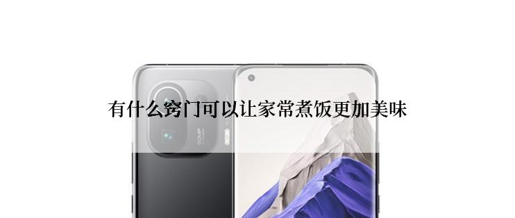 有什么窍门可以让家常煮饭更加美味