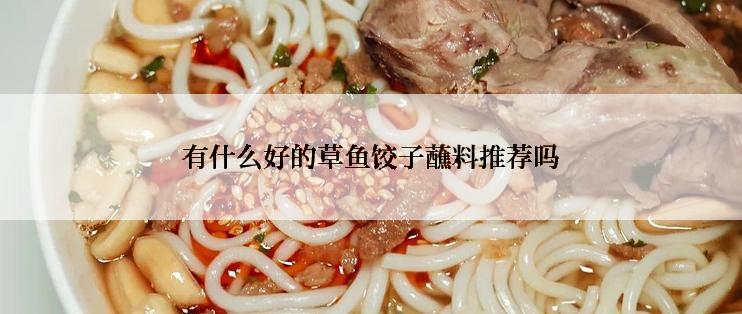 有什么好的草鱼饺子蘸料推荐吗