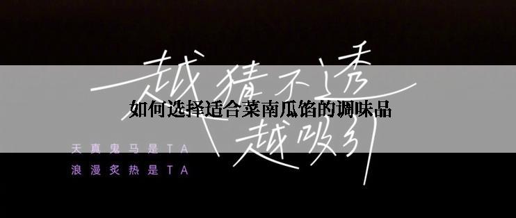  如何选择适合菜南瓜馅的调味品