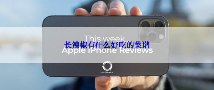 长辣椒有什么好吃的菜谱