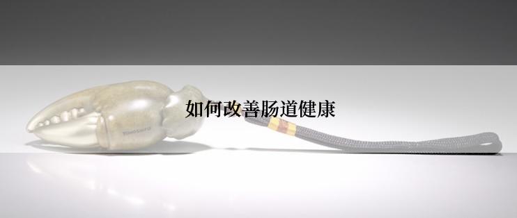  如何改善肠道健康