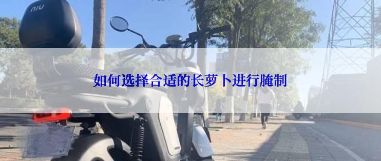 如何选择合适的长萝卜进行腌制