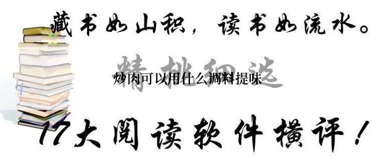  炒肉可以用什么调料提味