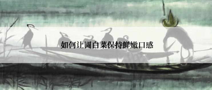  如何让圆白菜保持鲜嫩口感