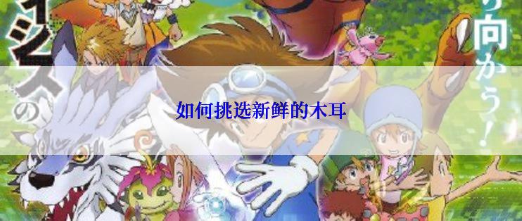 如何挑选新鲜的木耳