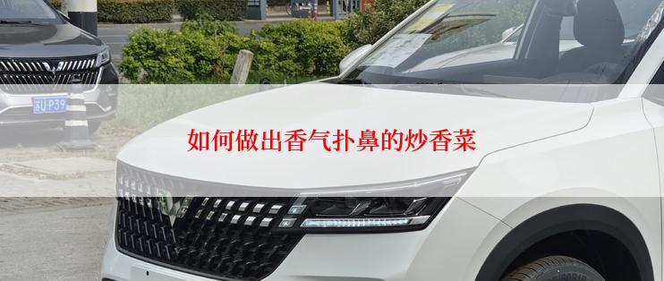 如何做出香气扑鼻的炒香菜