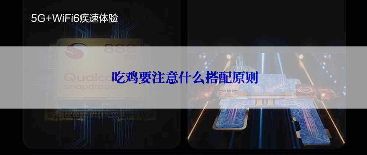  吃鸡要注意什么搭配原则