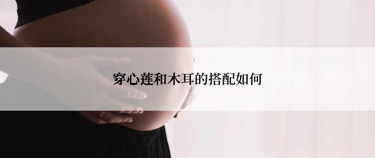 穿心莲和木耳的搭配如何