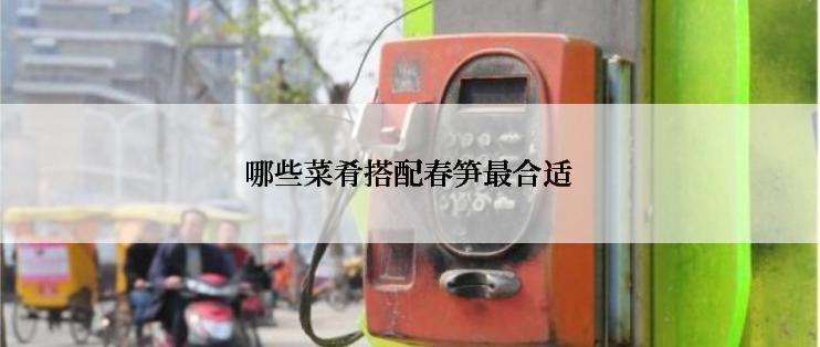 哪些菜肴搭配春笋最合适