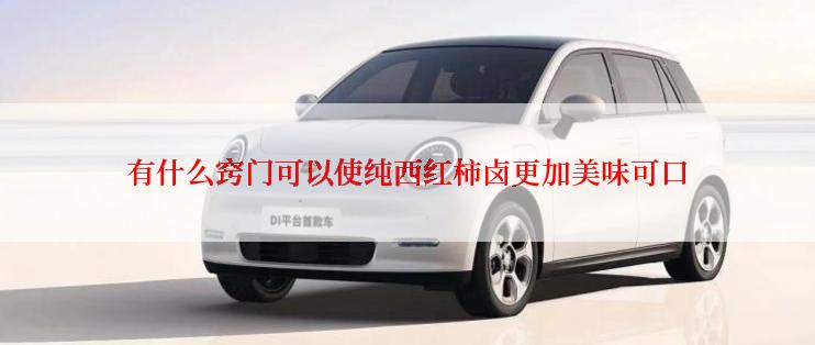有什么窍门可以使纯西红柿卤更加美味可口