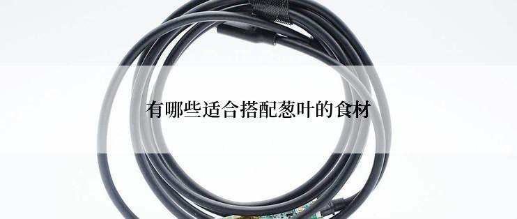 有哪些适合搭配葱叶的食材